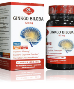 GINKGO BILOBA 120MG - BỔ NÃO